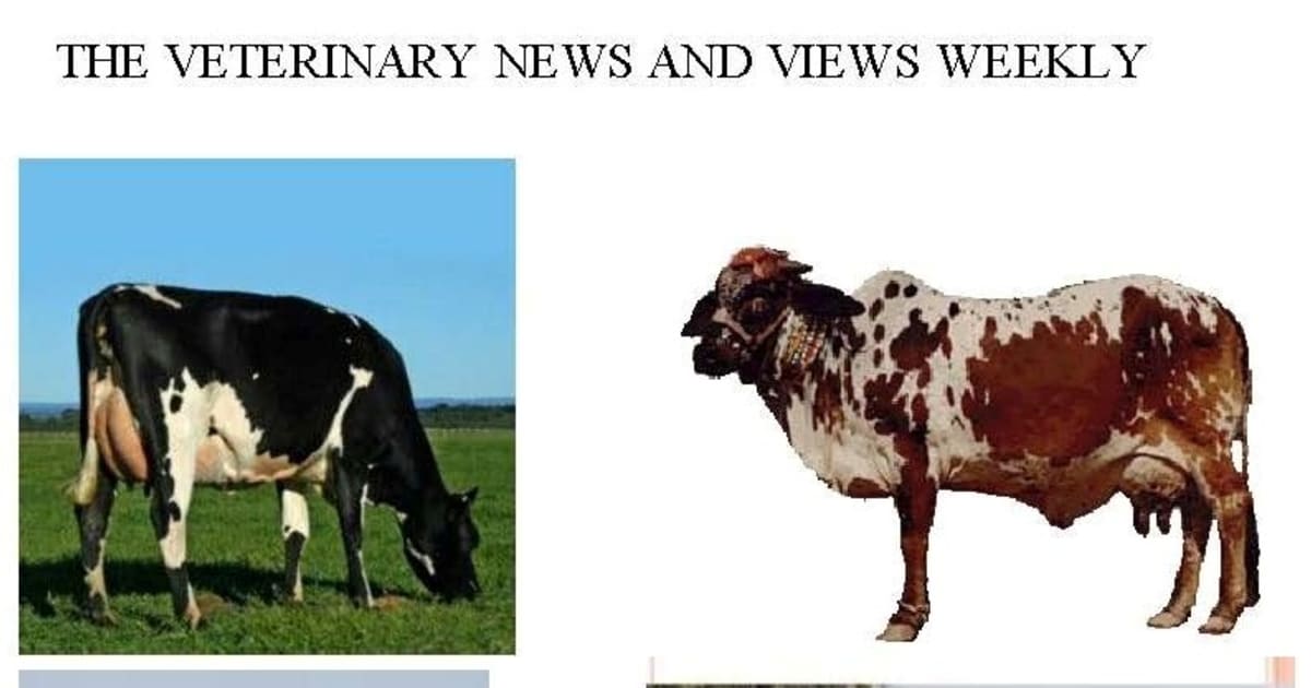 Best Cattle Breeds in Pakistan